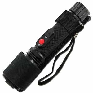 שוקר חשמלי החזק בעולם