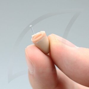 אוזניה נסתרת