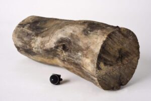 מצלמות נסתרות מוסלקות בבול עץ