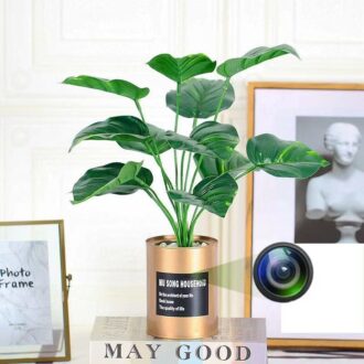 מצלמה נסתרת אלחוטית בעציץ