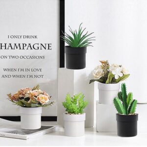 מקליט קול מוסלק בעציץ