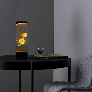 מצלמה אלחוטית באקווריום שולחני